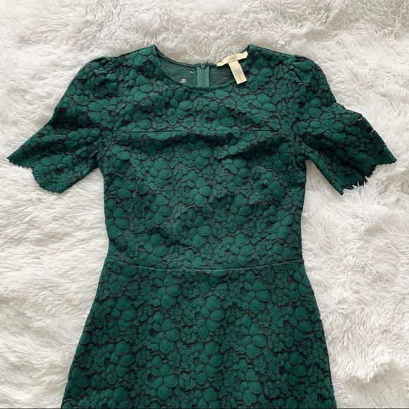 LARK & RO Deep Green Fit and Flare Crew Neck Sheath Stretch Lace Mini Dress - Picture 4 of 16